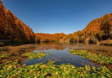 GİRESUN –  ORDU – SAMSUN PAKETİ