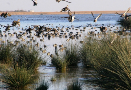 GİRESUN –  ORDU – SAMSUN PAKETİ