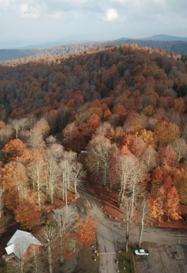 Kartepe