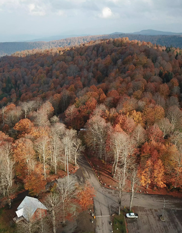 Kartepe