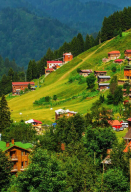 Ayder