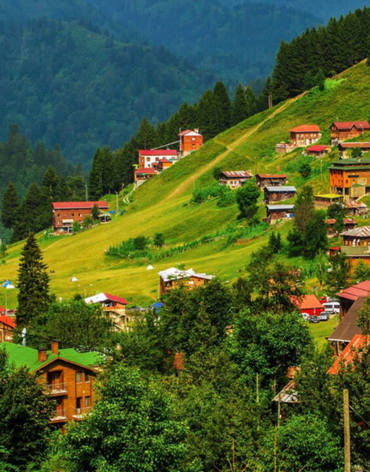 Ayder