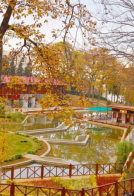 Botanik Park